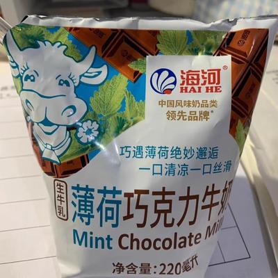 天津海河牛奶新品薄荷巧克力牛奶网红早餐香菜牛油果牛奶220ml
