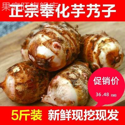 广西荔浦芋头旗舰店正宗奉化特产芋艿头小芋头5斤 非溪口新鲜农家