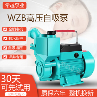 家用高压抽水泵水井自吸泵220v自来水管道加压水泵农用小型增压泵