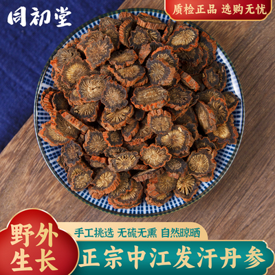 同初堂正宗中江发汗紫丹参高含量