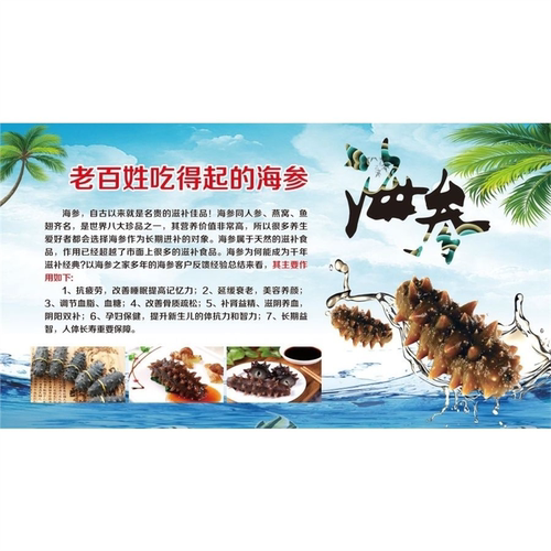 海参海报老少皆宜的温补佳品墙贴纸源自海洋传递新鲜KT板