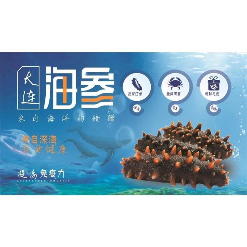 大连海参海报展板野生海参天然长软装墙贴