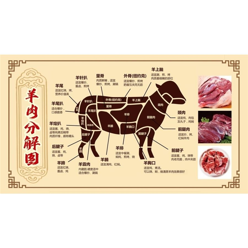 羊肉分解图背胶海报广告羊肉店分割图解剖图贴画户外背胶贴纸,个性定制/设计服务/DIY,写真/海报印制,淘宝优惠券,粉丝福利购,淘宝优惠卷