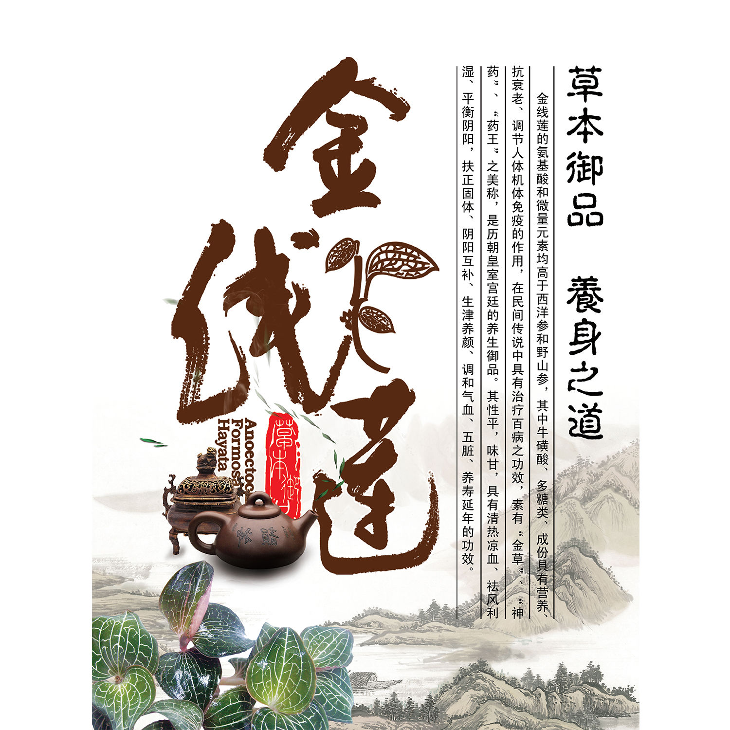 金线莲贴纸不干胶新款现货通用中药花茶覆膜定做防水印刷