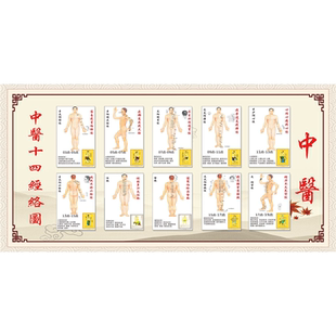 人体十二经络挂图十四经络图正经穴位图大挂图中医养生经脉经络图