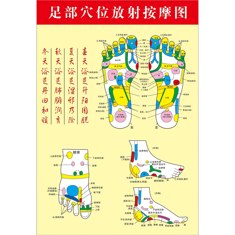 足部经络图脚底穴位图海报贴纸中医养生理疗海报墙贴纸kt板