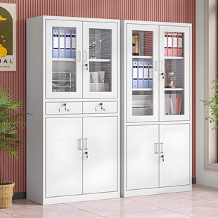 中二斗铁皮柜文件柜办公室资料档案凭证柜带锁多层钢制储物柜书柜