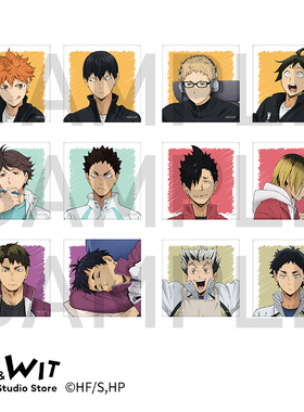 I.G WIT官方现货 排球少年制作现场系列 马口铁徽章套装周边礼物