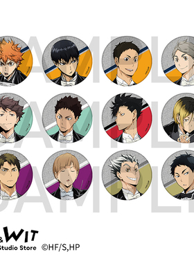 I.G WIT官方现货 排球少年!! 交响乐 盲抽闪底马口铁徽章动漫周边