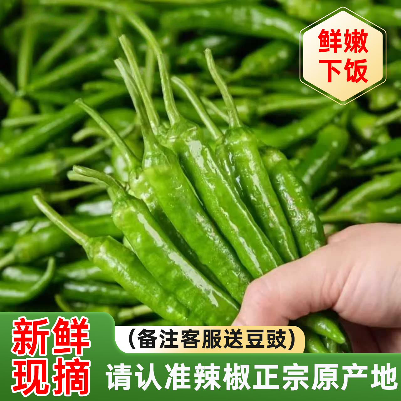 正宗樟树港辣椒新鲜现摘富硒薄皮青椒顺丰包邮湖南特产樟树港辣椒