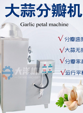 SFB800型蒜头分瓣机无损伤型蒜头破瓣机设备不锈钢大蒜分瓣机器