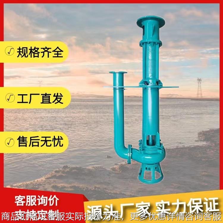 立式泥浆泵打桩机泵打井勘探清淤抽沙250QV-SP液下渣浆泵