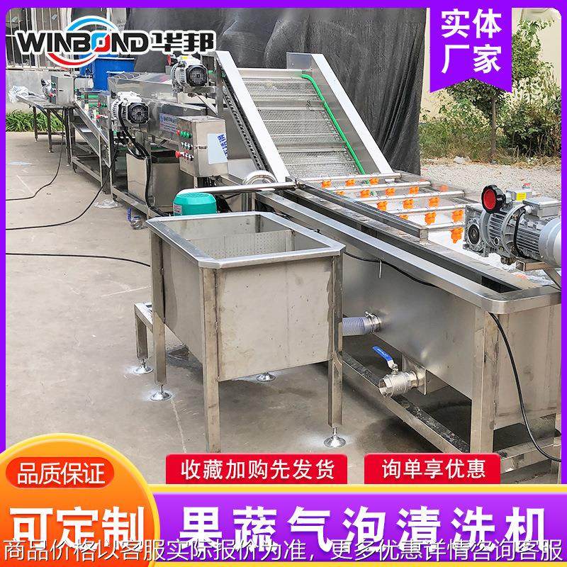 喷淋式净菜清洗流水线 全自动果蔬气泡清洗机 娃娃菜清洗机设备,清洗/食品/商业设备,果蔬加工设备,淘宝优惠券,粉丝福利购,淘宝优惠卷