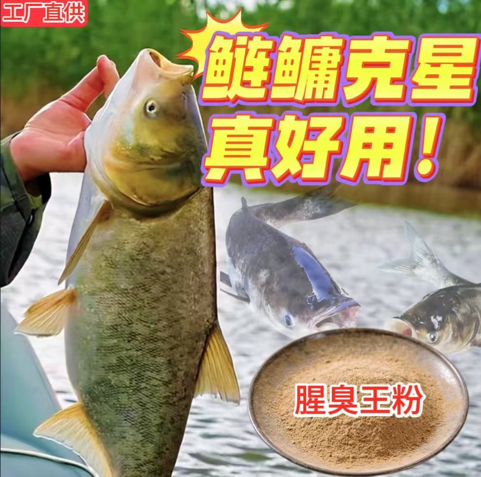 鲢鳙专用腥臭粉鱼饵诱食添加剂鲢鳙饵料小药腥臭味窝料钓饵开口快,户外/登山/野营/旅行用品,鱼饵添加剂,淘宝优惠券,粉丝福利购,淘宝优惠卷