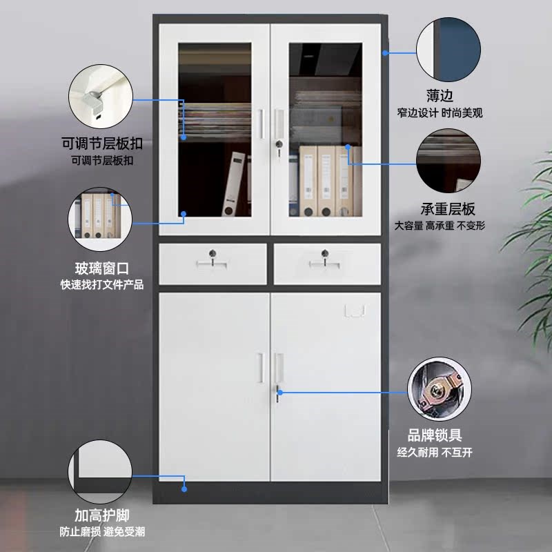 文件柜办公室资料柜铁皮收纳整理柜带锁会计财务凭证柜储物书柜