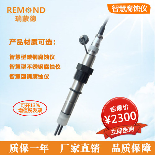腐蚀仪 智慧型不锈钢碳钢铜腐蚀仪 水质腐蚀率检测仪 瑞蒙德