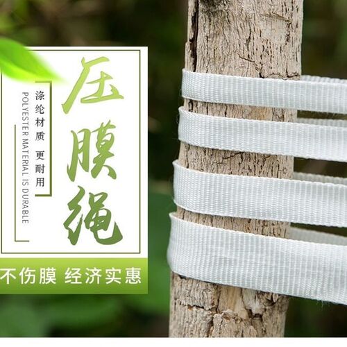 大棚压膜绳加厚抗老化压膜绳子耐磨压膜带扁带抗老化压膜线