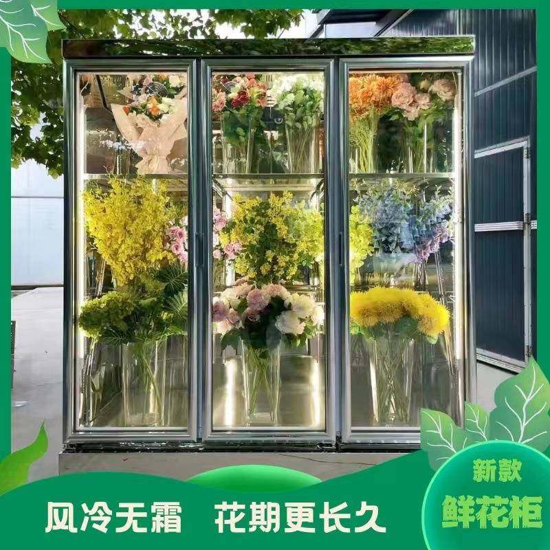 花店双门三门网红鲜花保鲜柜储存柜鲜花展示陈列柜风直冷花艺冰箱