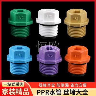 PPR塑料丝堵4分6分1/2外丝堵头20 丝堵内牙塑料管堵管帽配件带圈