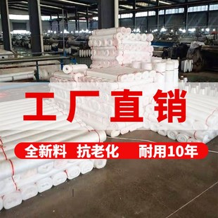 养殖场家用防虫网农用果树蔬菜大棚养猪场专用防蚊网蝇80目纱网
