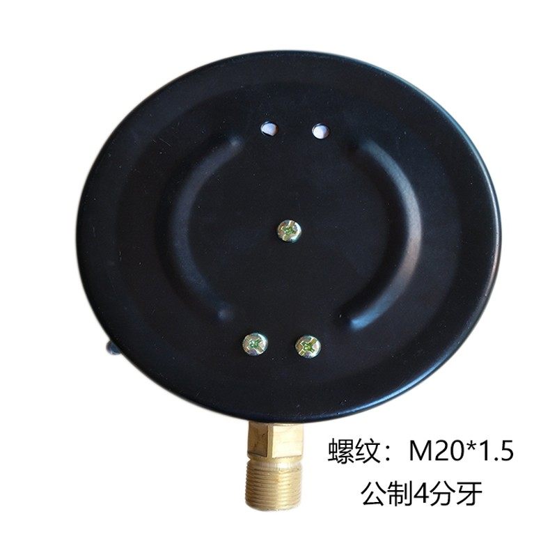 雷尔达压力表YTW 耐高温mm表盘蒸汽锅炉压力表.M