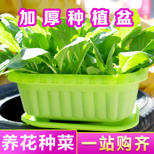 阳台蔬菜盆草莓韭菜番茄种植土培套餐家庭花盆塑料土培方形种菜盆