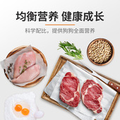 派得狗狗零食火腿肠泰迪金毛成幼犬训练奖励大中小型犬宠物香肠