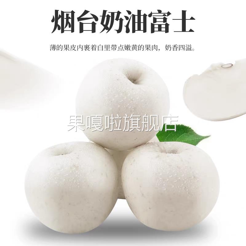 【现摘】山东新鲜奶油白苹果牛奶脆甜富士苹果新鲜5斤现摘现发
