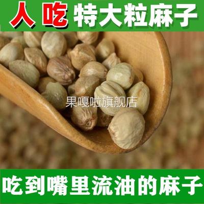 麻子大粒人吃新货特大云南火麻子包邮非甘肃炒熟五香生麻子籽食用