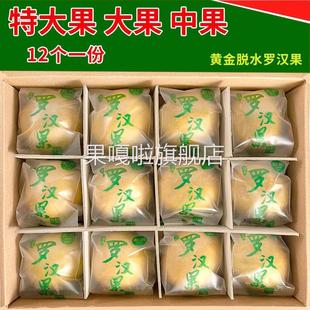 黄金罗汉果正品 旗舰店新鲜干果脱水冻干罗汉果茶广西桂林永福特产