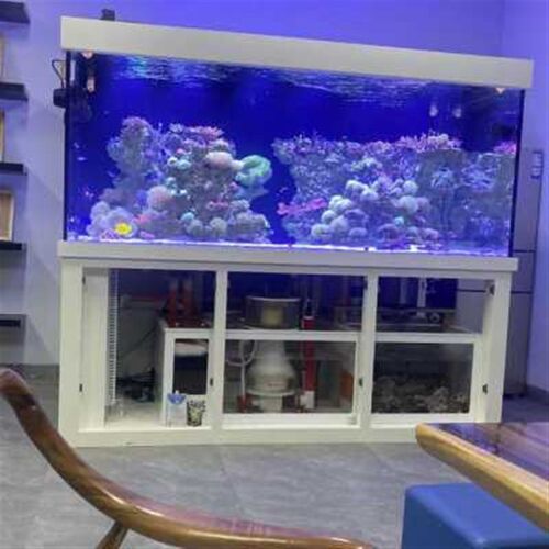 新款定制海水珊瑚缸底p滤海缸底部过滤海水鱼缸超白背滤海缸侧滤