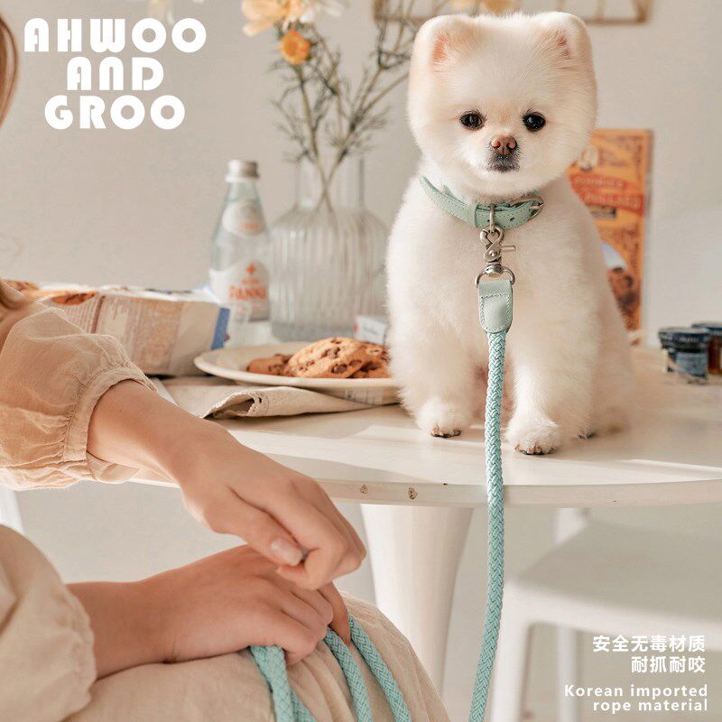 狗狗项圈皮质牵引绳遛狗绳脖圈宠物中小型犬狗绳比熊编织高档个性