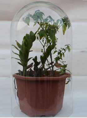 超大玻璃透明罩客厅书房酒柜玄关摆件防尘罩干花微景观玻璃展示罩