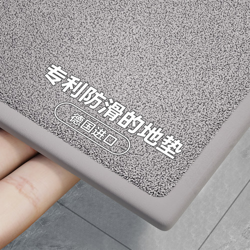 2024新款f入户地垫耐脏防滑免洗可裁剪高级感门口地垫入户门垫家