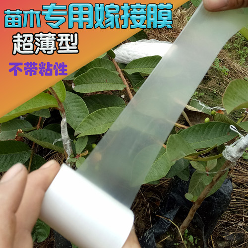 嫁接膜专用膜PE打结薄膜嫁接绑A带果树苗木包扎带非自粘超薄膜包