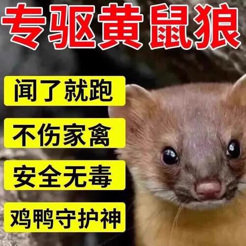 驱黄鼠狼神器养鸡防黄鼠狼专用药养殖场强力气味驱赶吓黄鼠狼专用