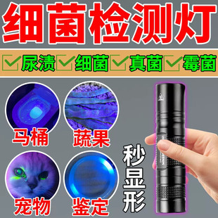 细菌检测灯查验酒店卫生间马桶真菌毒素尿液残留宠物猫癣黄曲霉素