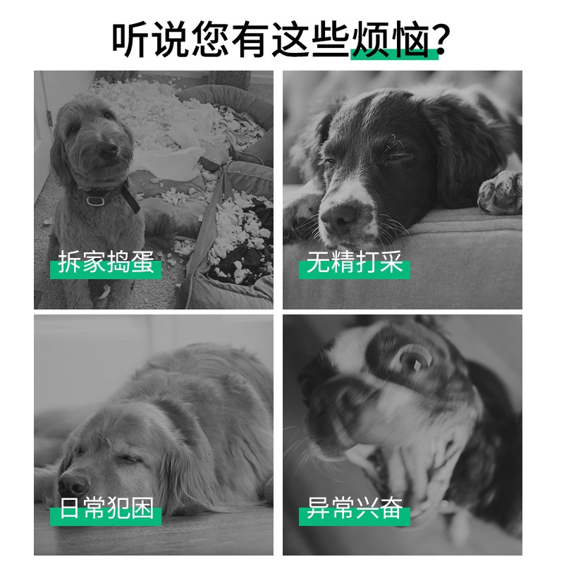 狗狗玩具球边牧自嗨玩具拉布拉多柯基训练专用狗足球耐咬宠物用品
