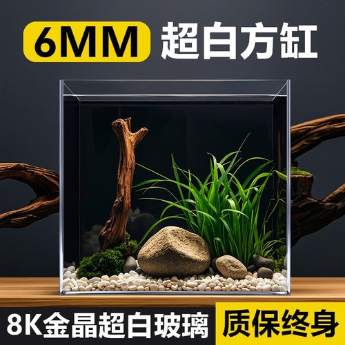 2025新款超白鱼缸金晶玻璃方缸小型客厅溪流生态缸20/25/30方形缸