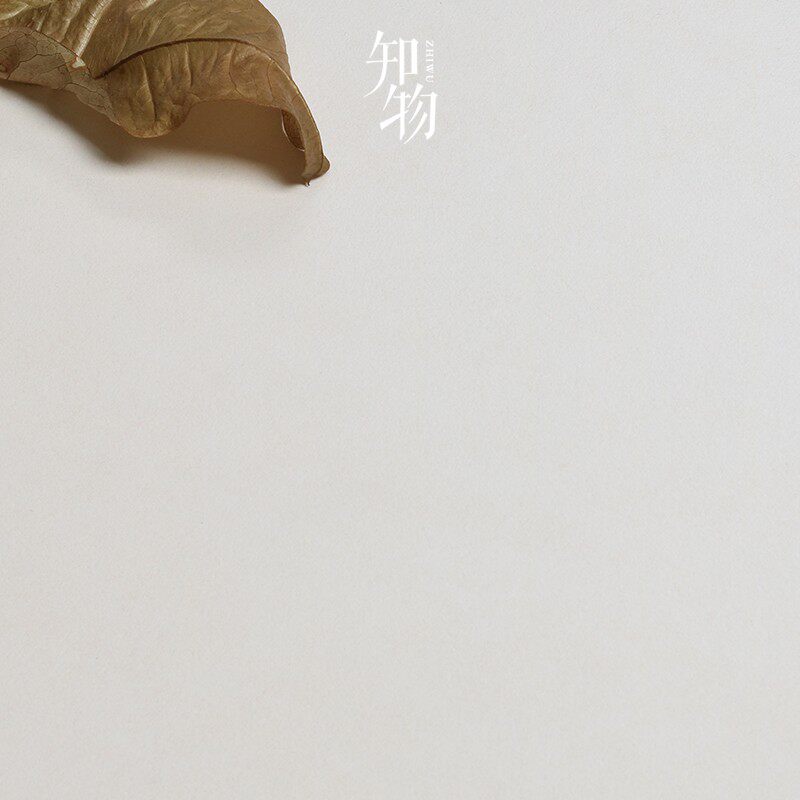 新侘寂风微水泥瓷砖奶油白色卫生间墙砖客厅地砖日式素色仿古砖