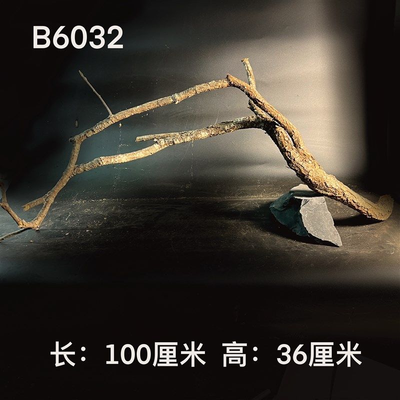 黄梨枝-南美缸树干造景鱼缸天然装饰枝条景观修饰布景原生底床,宠物/宠物食品及用品,造景/装饰,淘宝优惠券,粉丝福利购,淘宝优惠卷