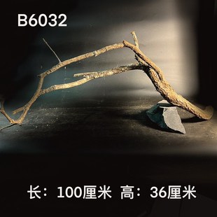 黄梨枝-南美缸树干造景鱼缸天然装饰枝条景观修饰布景原生底床