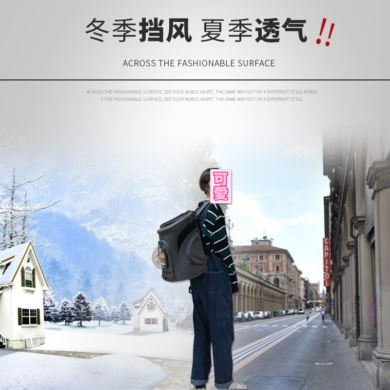 帆布太空猫包舱宠物包猫背包外出包便携透气双肩包猫书包猫狗背包