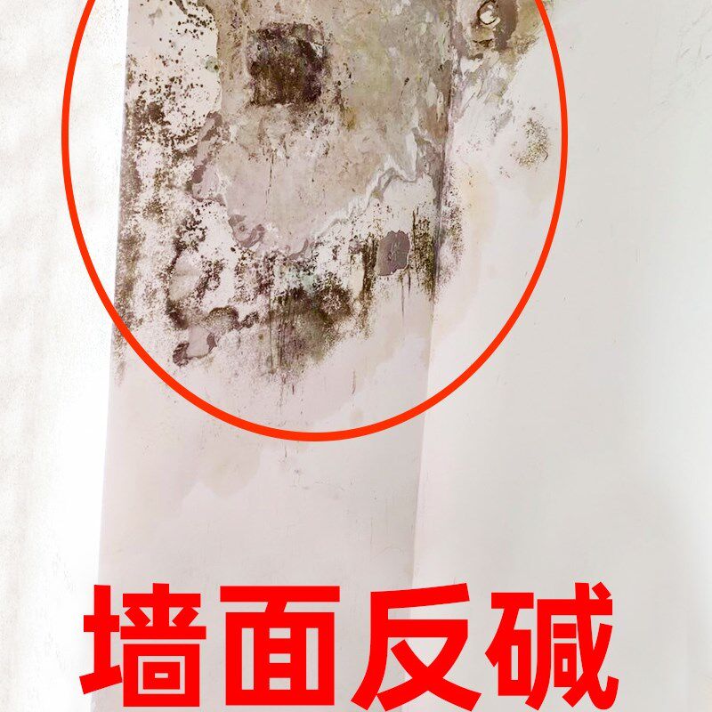 墙贴墙壁防水防潮防霉墙面装饰木纹卧室贴画卫生间修复受潮除碱剂