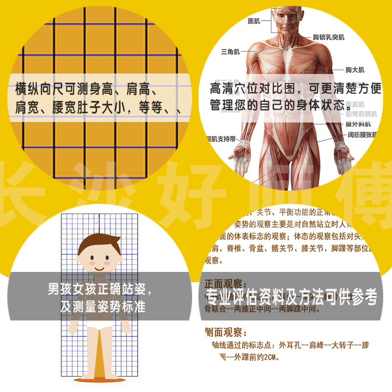 儿童身高体态评估表站姿体测网格壁画背景墙纸中小幼儿体测评估图