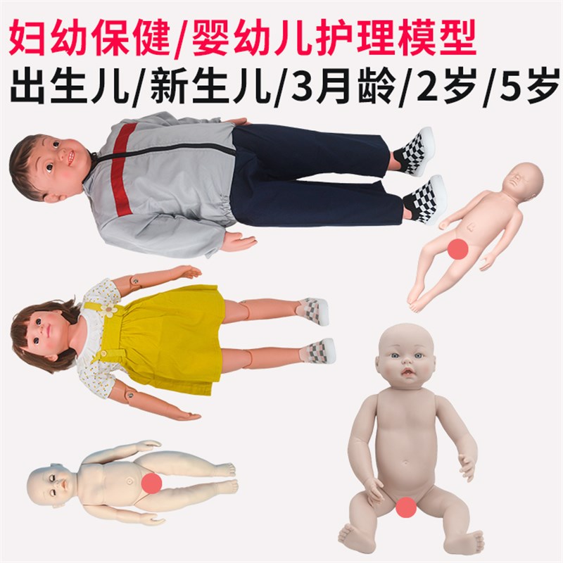 妇幼保健实训室仿真婴幼儿娃娃模型 2岁5岁儿O童模型 初生儿新生