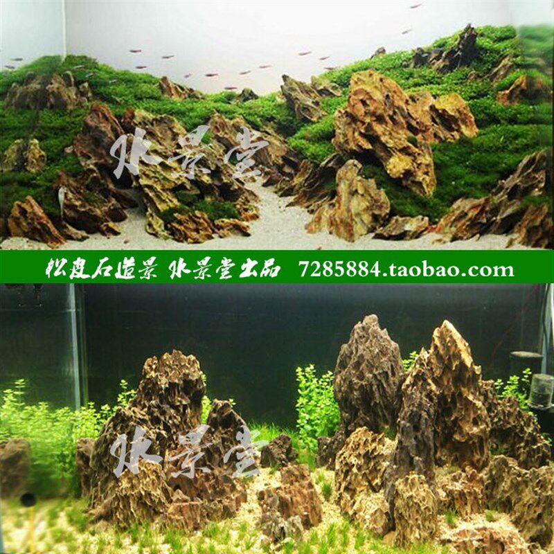 鱼缸装饰 松皮石套餐 过滤海绵鱼缸造景底植草皮绿草坪