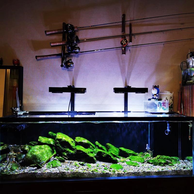阳光几何天使眼原生溪流爆藻爆苔水草灯鱼缸灯南美三湖造景