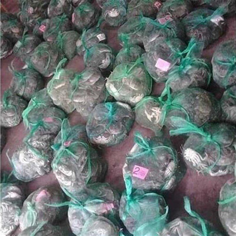 装螃蟹网袋装螃蟹网兜水产网袋网兜花蛤N网袋螃蟹袋子海鲜袋子