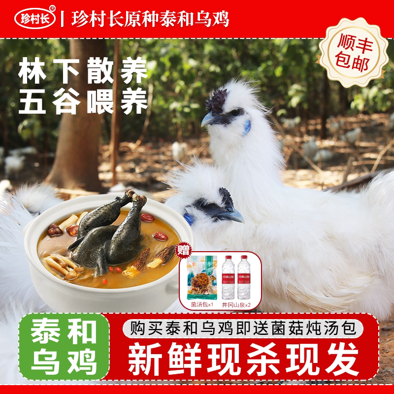 珍村长【泰和武山】原种泰和乌鸡